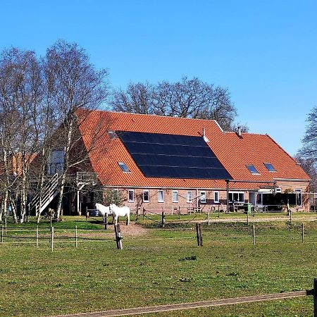 Anderen Slaopen En Stoet Bed & Breakfast エクステリア 写真