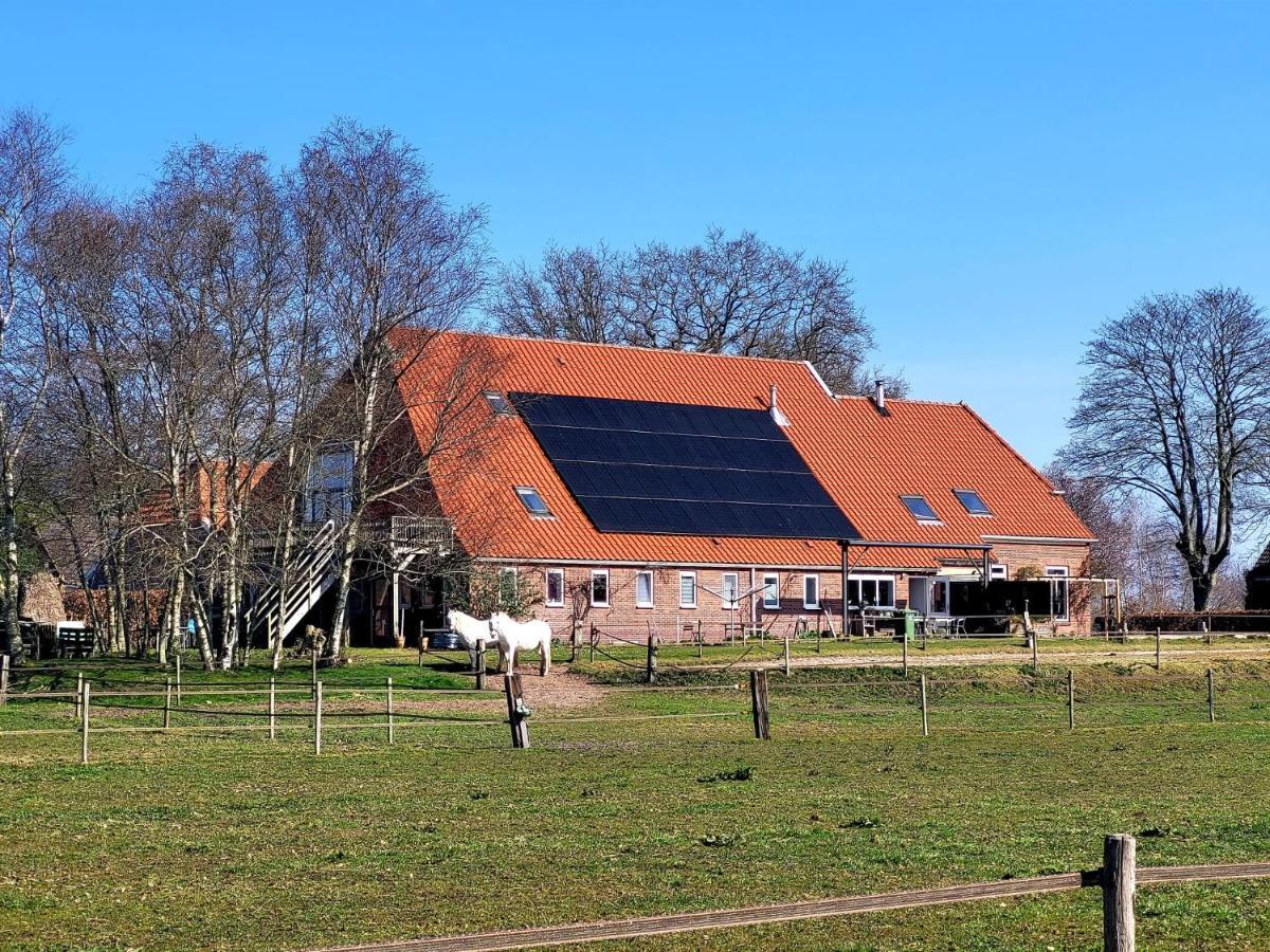 Anderen Slaopen En Stoet Bed & Breakfast エクステリア 写真